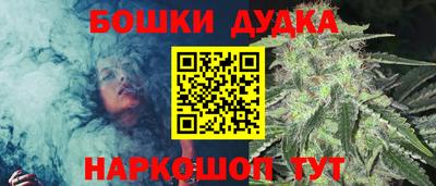 сатива Комсомольск-на-Амуре