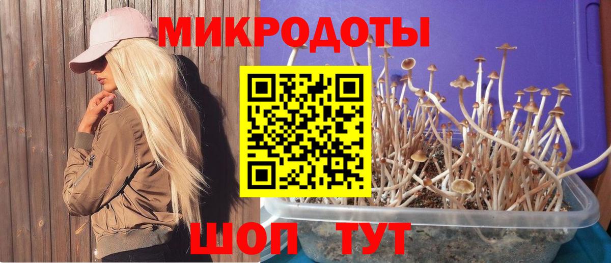 Псилоцибиновые грибы прущие грибы Красноармейск