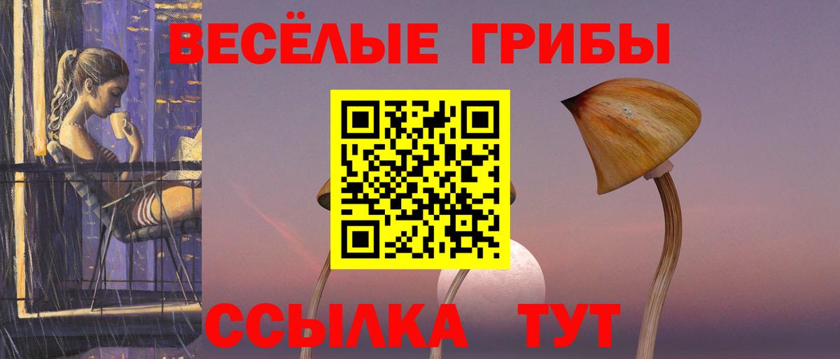 Красноармейск  Галлюциногенные грибы мухоморы  Вход с VPN 